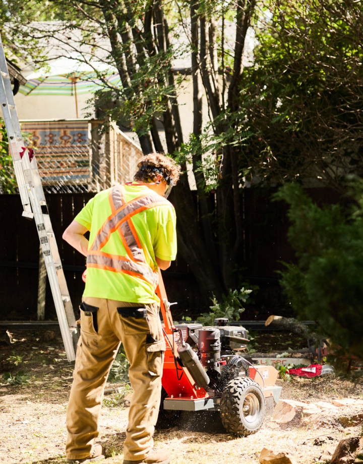 Stump Removal