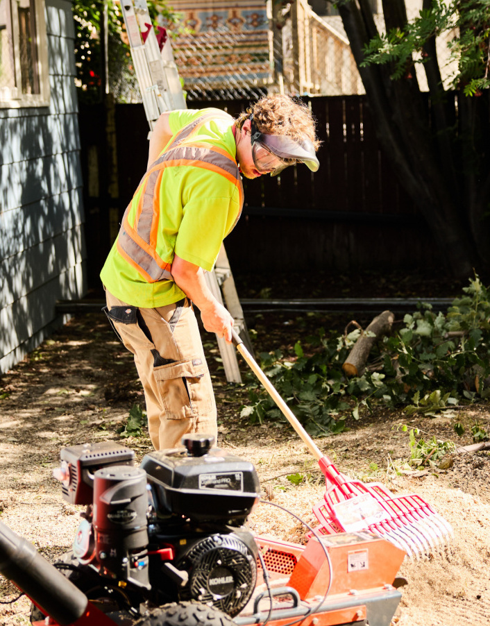 Stump Removal + Clean Up